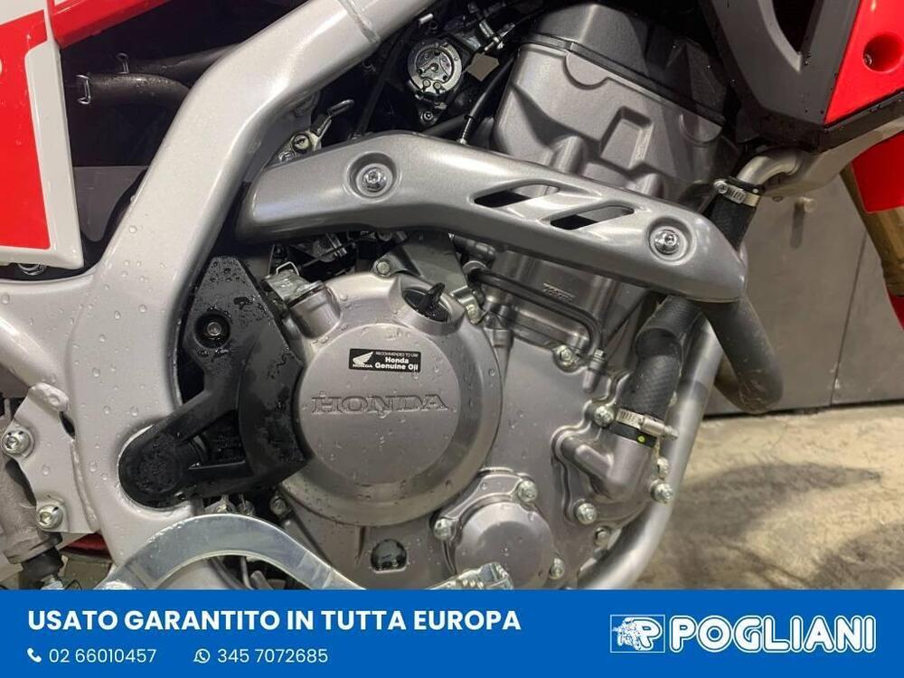 Honda CRF 300 L (2021 - 24) (3)