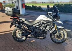 Triumph Tiger 800 ABS (2010 - 14) usata