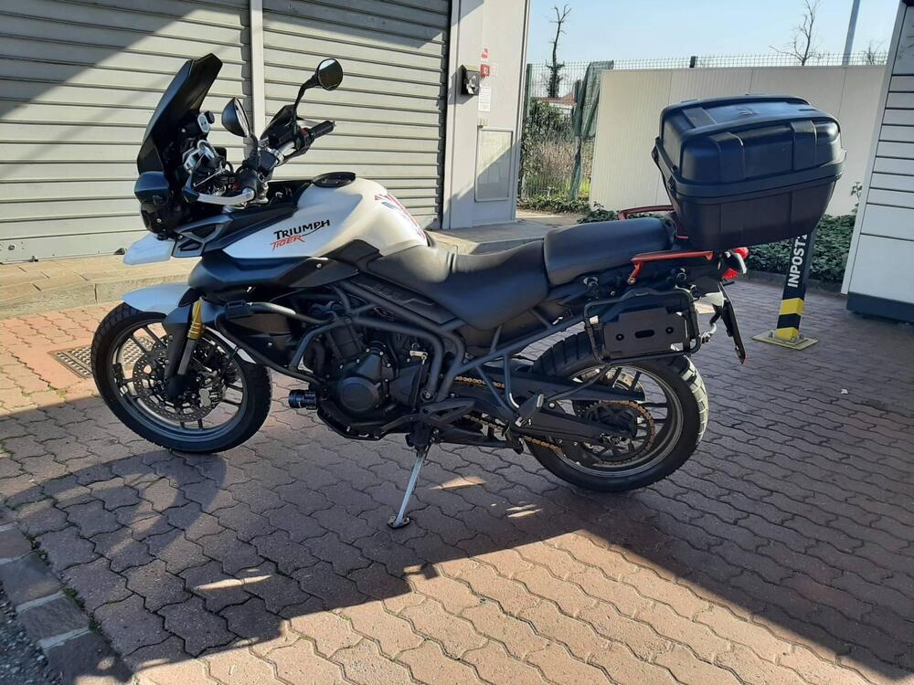 Triumph Tiger 800 ABS (2010 - 14) (2)