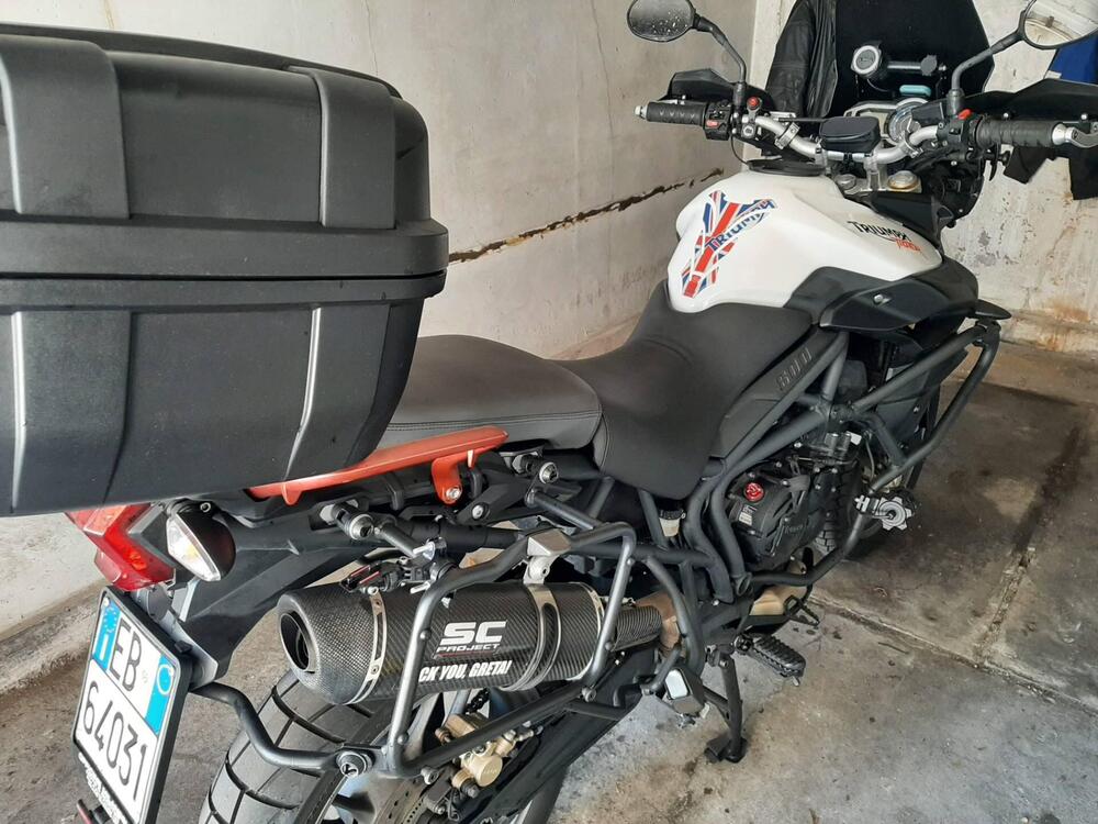 Triumph Tiger 800 ABS (2010 - 14) (3)