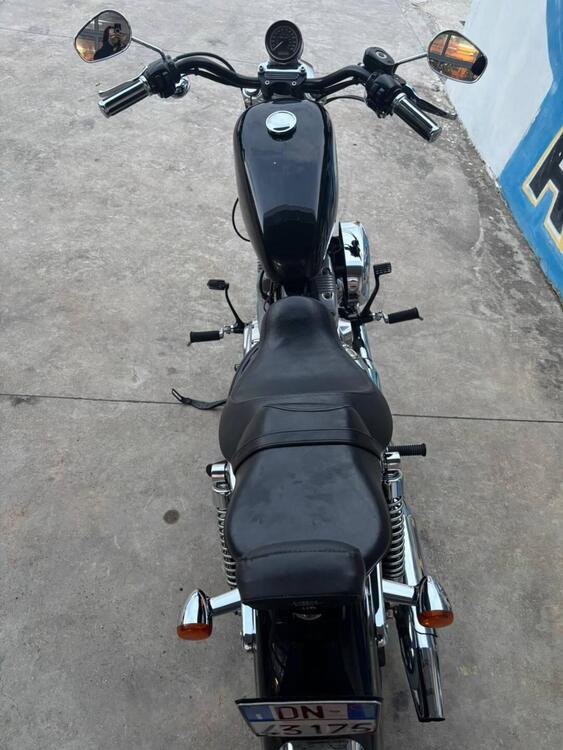 Harley-Davidson 883 (2008 - 09) - XL (5)