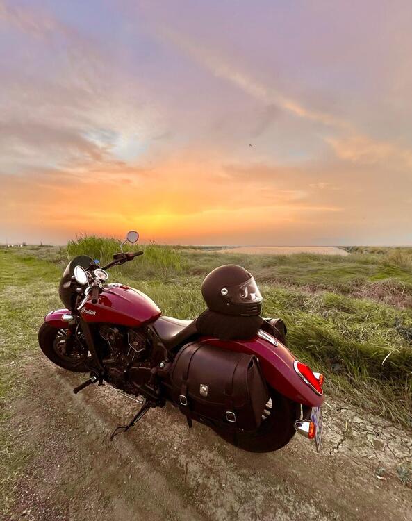 Indian Scout Sixty (2017 - 19) (3)