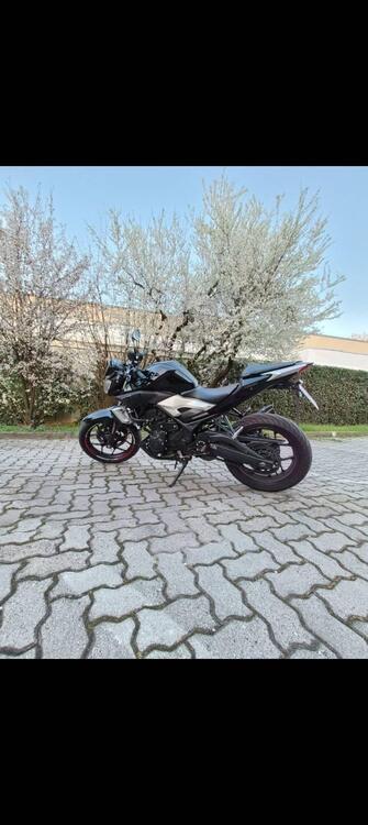 Yamaha MT-03 (2016 - 17) (2)