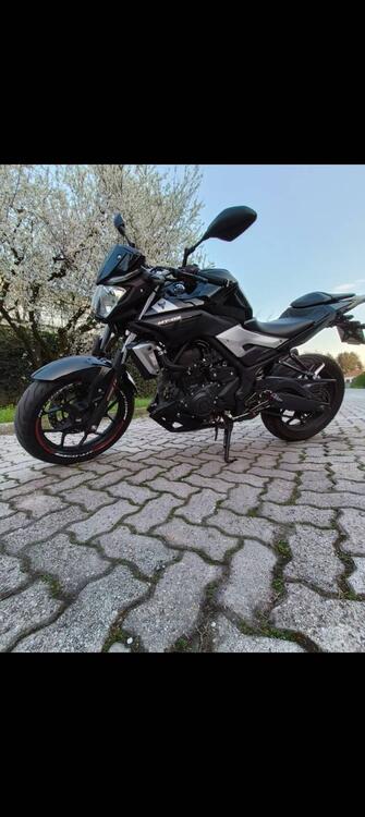 Yamaha MT-03 (2016 - 17) (3)