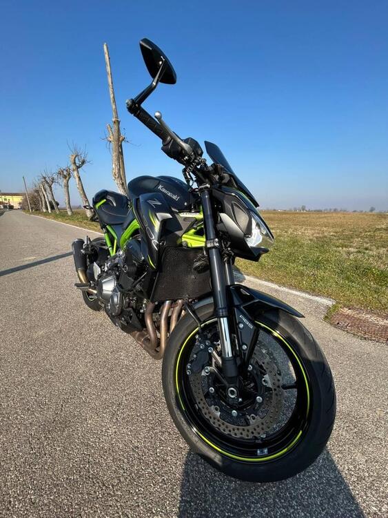 Kawasaki Z 900 (2019) (2)