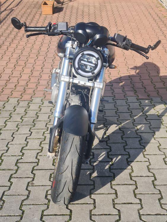 Ducati Monster 620 (2003 - 06) (5)