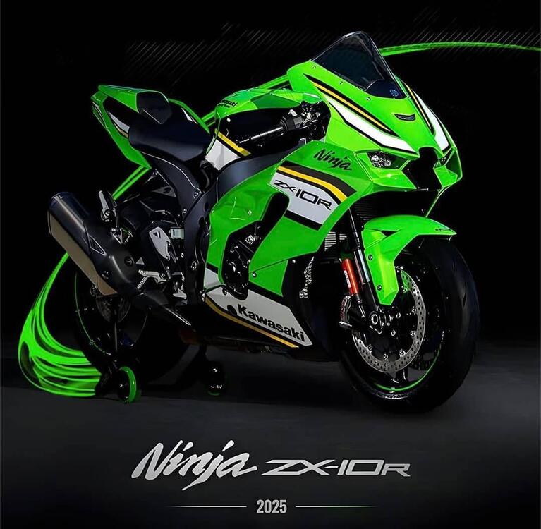 Kawasaki Ninja 1000 ZX-10R (2021 - 25)