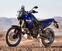 Yamaha Ténéré 700 Rally Edition (2022 - 24) (8)