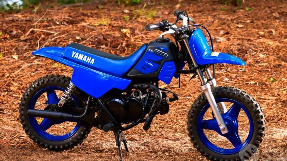 Yamaha PW 50 (2023) (5)