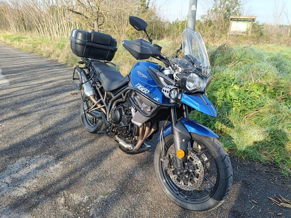 Triumph Tiger 800 XRx (2017 - 18) (3)