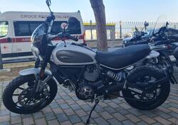 Ducati Scrambler 800 Icon (2017 - 20) usata