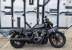 Harley-Davidson Nightster (2023 - 25) usata