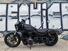 Harley-Davidson Nightster (2023 - 25) (6)