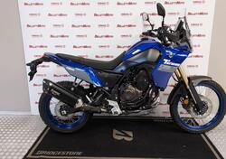 Yamaha Ténéré 700 (2022 - 24) usata