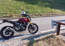 Triumph Scrambler 400 X (2024 - 25) usata