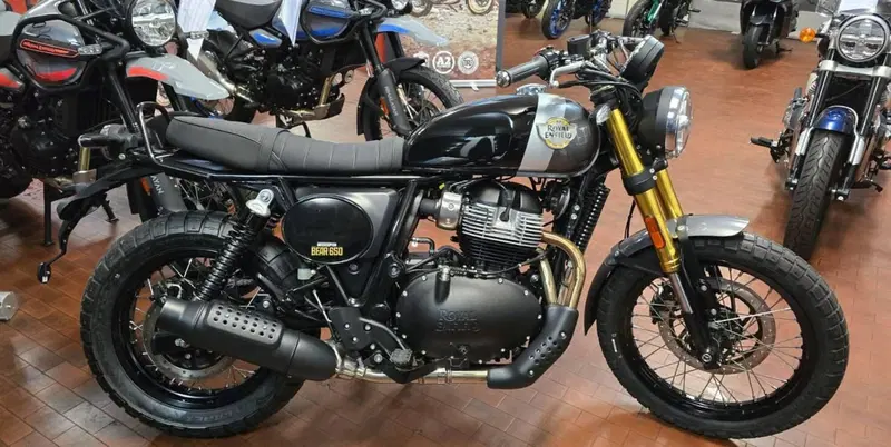 Royal Enfield Bear 650 (2025 - 26) (7)