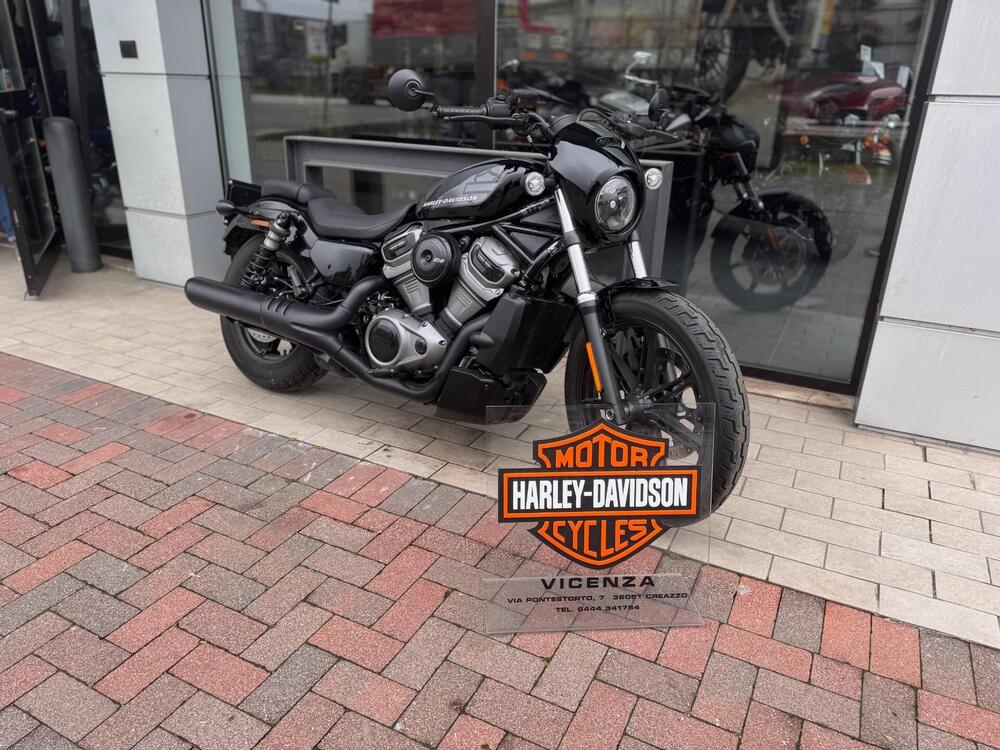 Harley-Davidson Nightster (2023 - 25)