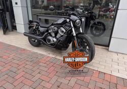 Harley-Davidson Nightster (2023 - 25) usata