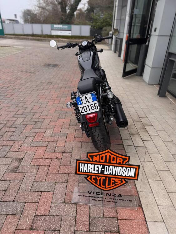 Harley-Davidson Nightster (2023 - 25) (3)