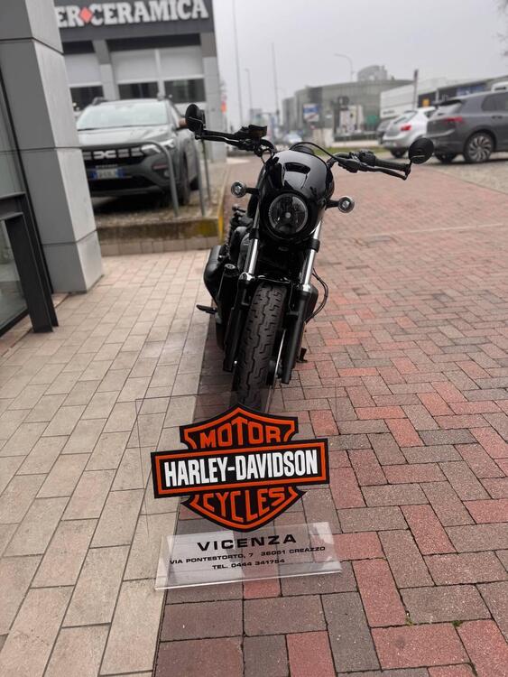 Harley-Davidson Nightster (2023 - 25) (4)