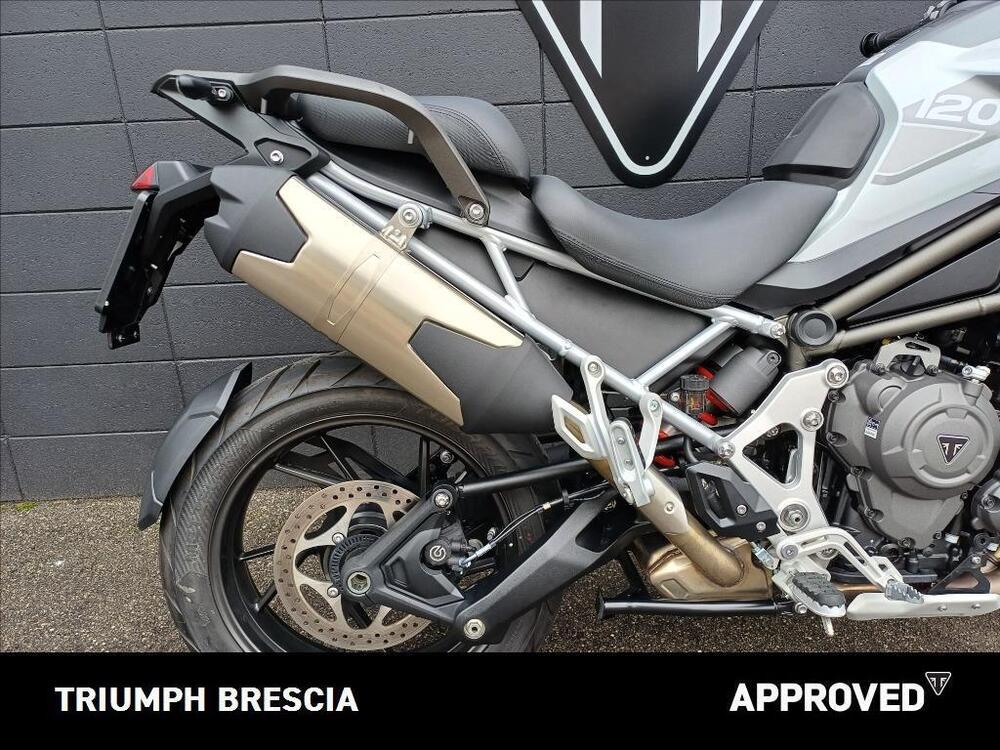 Triumph Tiger 1200 GT Pro (2022 - 23) (4)