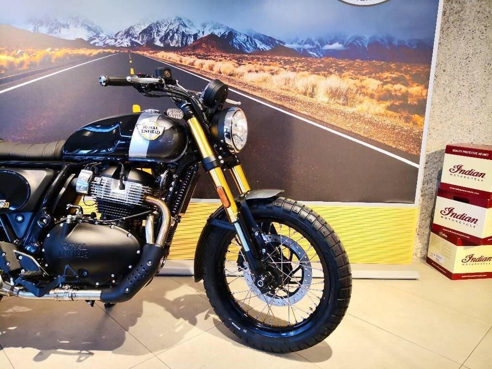 Royal Enfield Bear 650 (2025) (4)