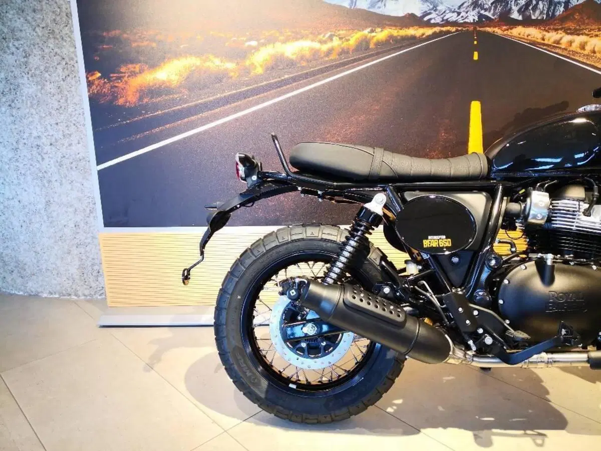 Royal Enfield Bear 650 (2025 - 26) (6)