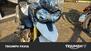 Triumph Tiger 800 ABS (2010 - 14) (14)