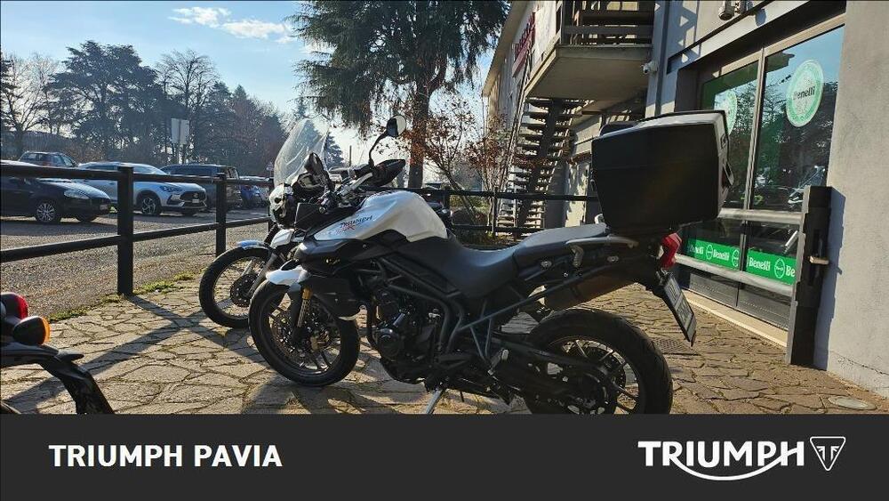 Triumph Tiger 800 ABS (2010 - 14) (4)