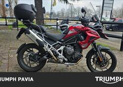 Triumph Tiger 1200 GT Pro (2024 - 25) usata