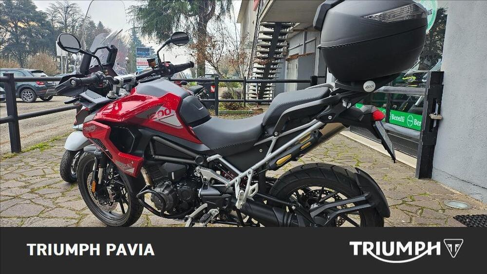 Triumph Tiger 1200 GT Pro (2024 - 25) (5)