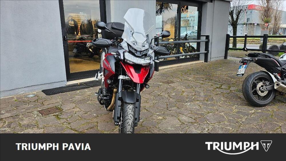 Triumph Tiger 1200 GT Pro (2024 - 25) (2)