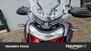 Triumph Tiger 1200 GT Pro (2024 - 25) (18)