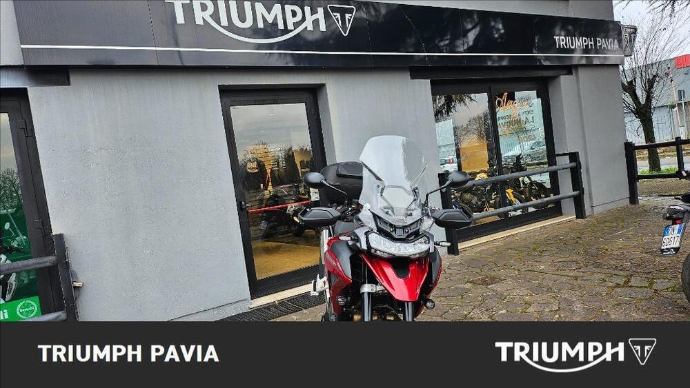 Triumph Tiger 1200 GT Pro (2024 - 25) (3)