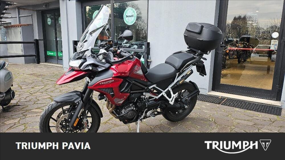 Triumph Tiger 1200 GT Pro (2024 - 25) (4)