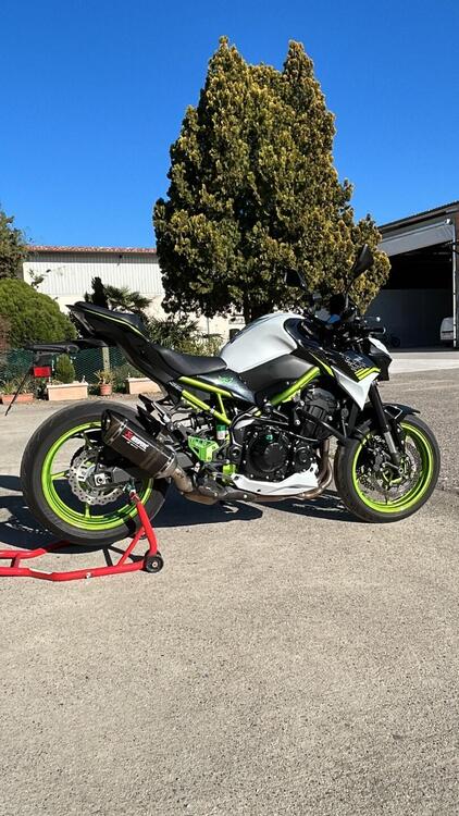 Kawasaki Z 900 Performance (2021 - 24) (3)