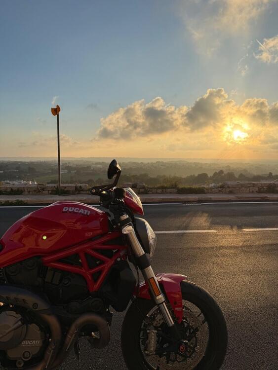 Ducati Monster 821 (2018 - 20) (3)