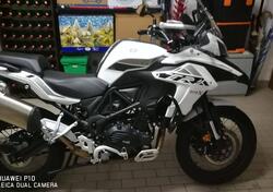 Benelli TRK 502X (2020) usata