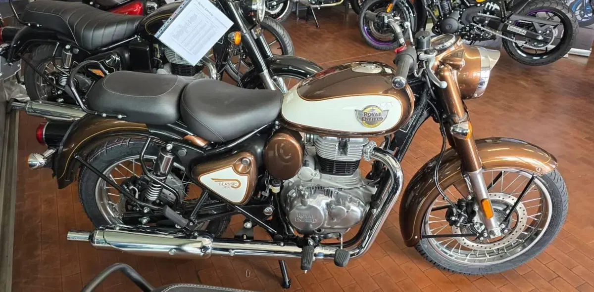 Royal Enfield Classic 350 (2021 - 26) (7)