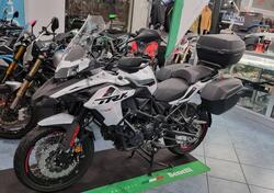 Benelli TRK 502X (2021 - 25) nuova