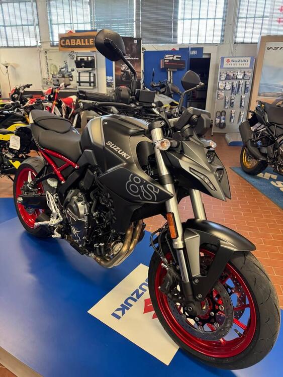 Suzuki GSX-8S (2023 - 25)