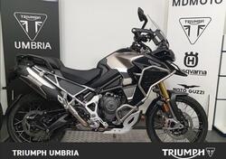 Triumph Tiger 1200 Rally Explorer (2024 - 25) nuova