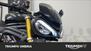 Triumph Speed Triple 1200 RS (2021 - 24) (7)