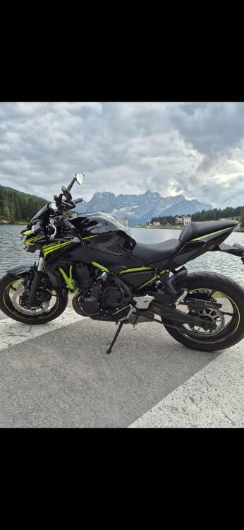 Kawasaki Z 650 (2020)