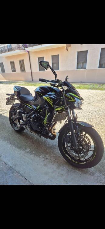 Kawasaki Z 650 (2020) (5)