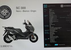 Morbidelli SC300 (2024 - 25) nuova