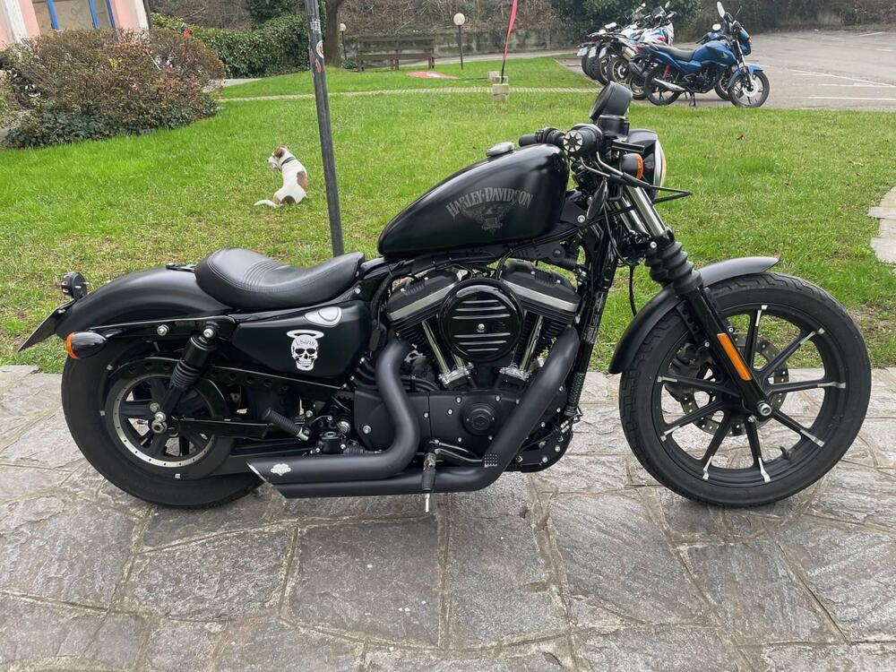 Harley-Davidson 883 Iron (2017 - 20) - XL 883N