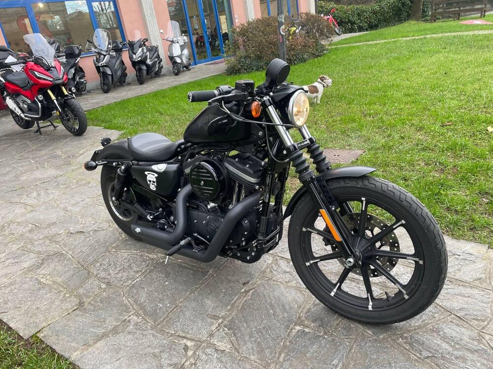 Harley-Davidson 883 Iron (2017 - 20) - XL 883N (3)