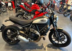 Ducati Scrambler 800 Icon (2021 - 22) usata