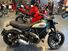 Ducati Scrambler 800 Icon (2021 - 22) (13)